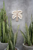 The Cotton Shell Palm Tree - White Natural