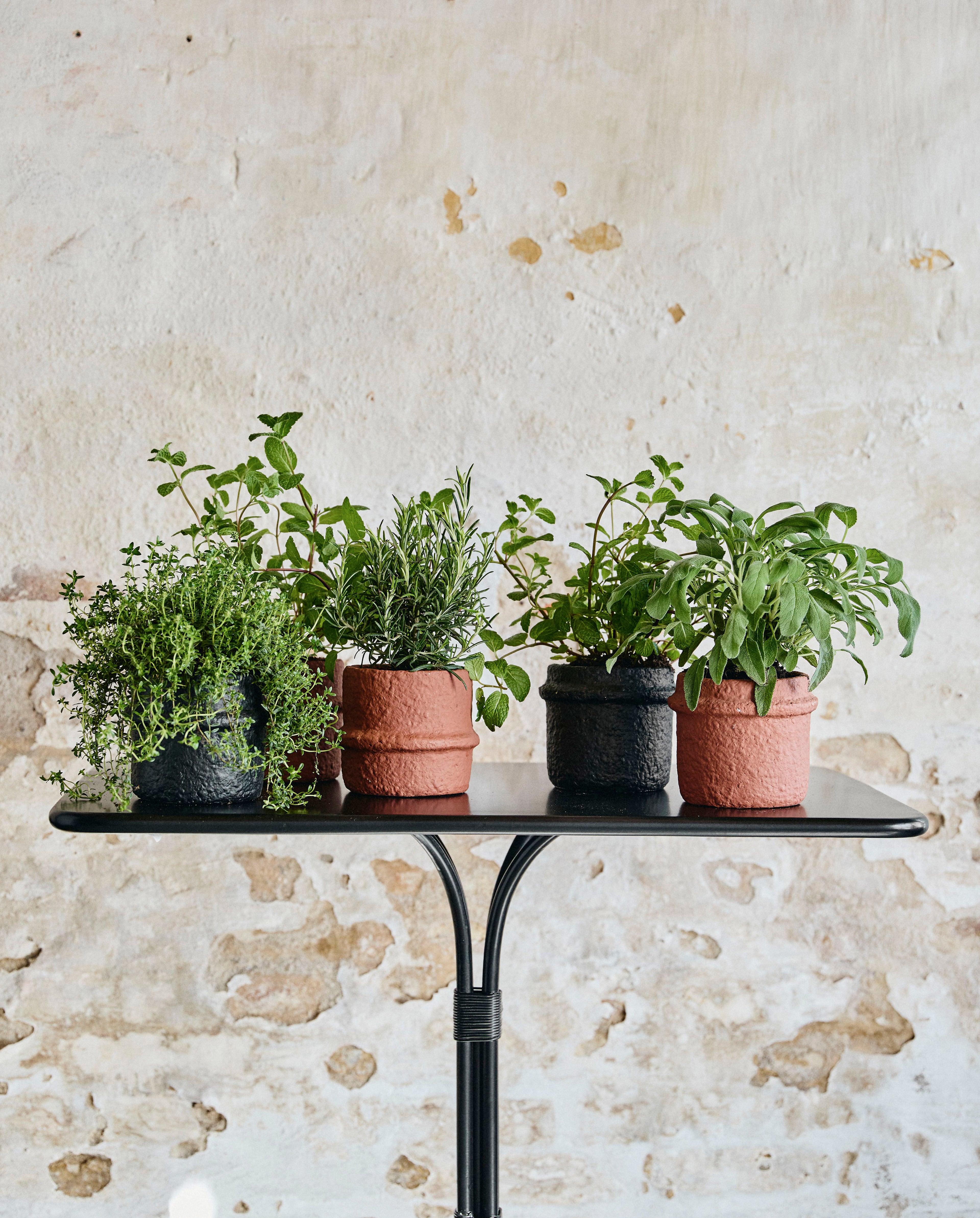 OLIVO BLACK GARDEN TABLE