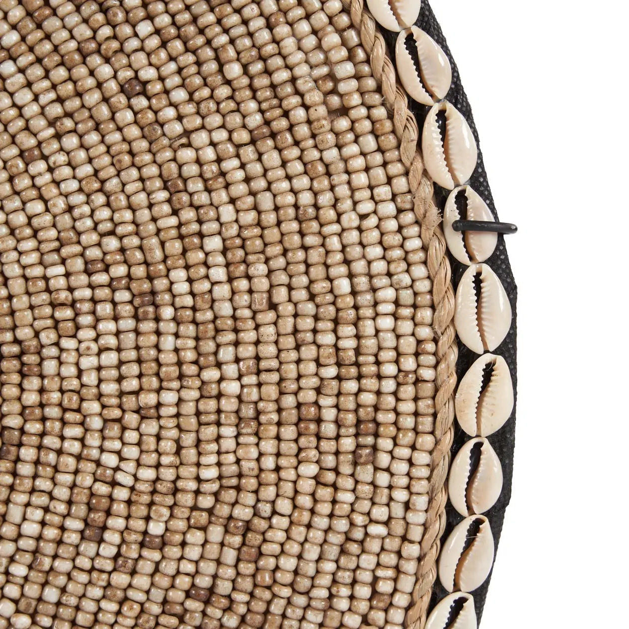 The Shell Guadeloupe on Stand D 40 cm - Natural White
