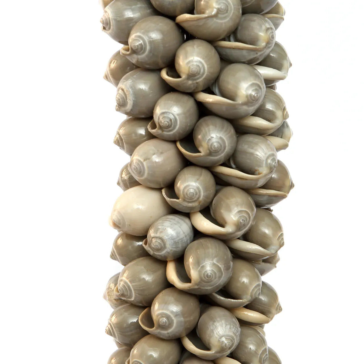 The Shell & Cotton Tassel - Grey, H 80 cm