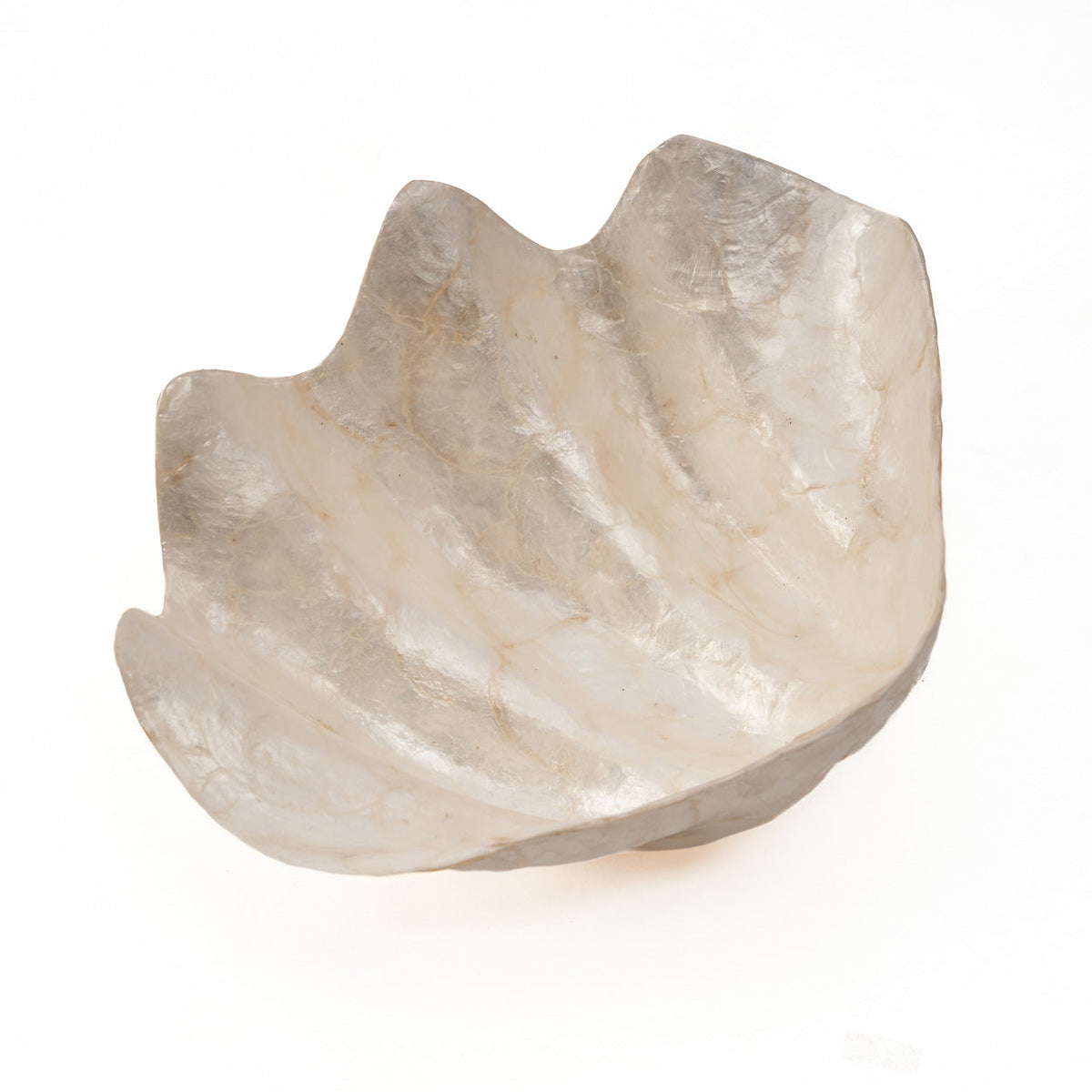The Mother of Pearl Tray - White - M