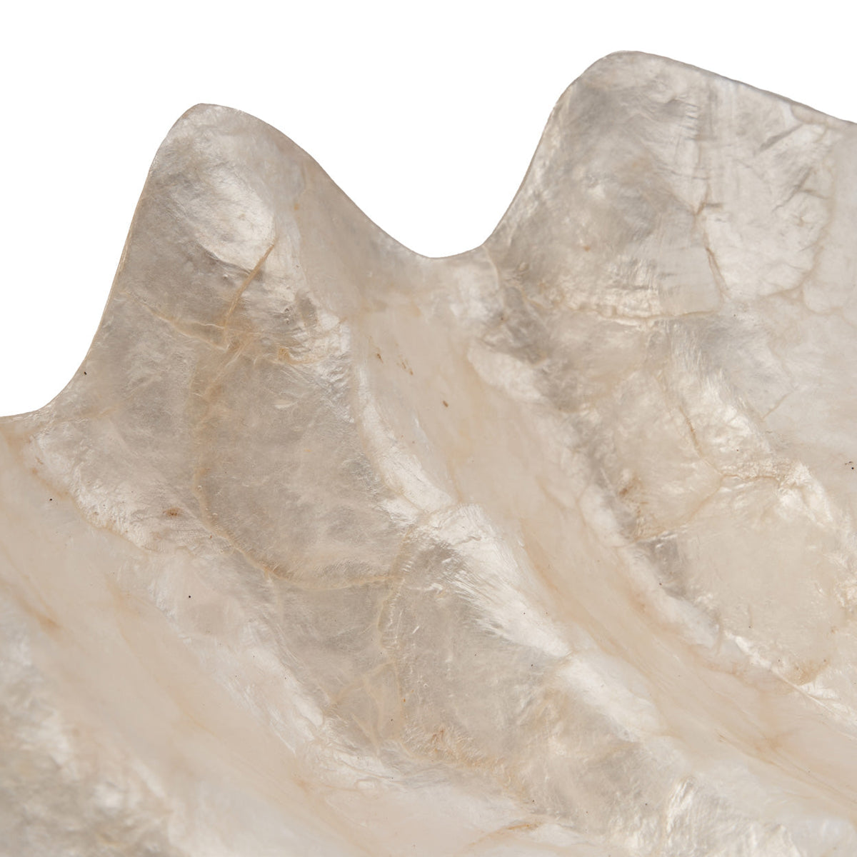The Mother of Pearl Tray - White - M