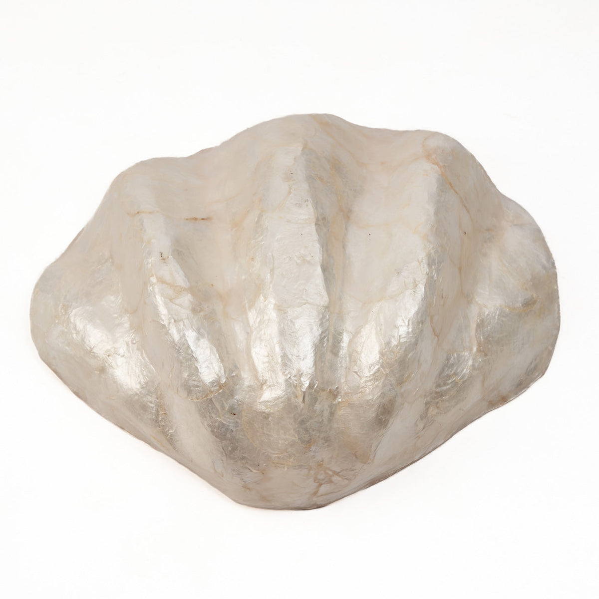 The Mother of Pearl Tray - White - M