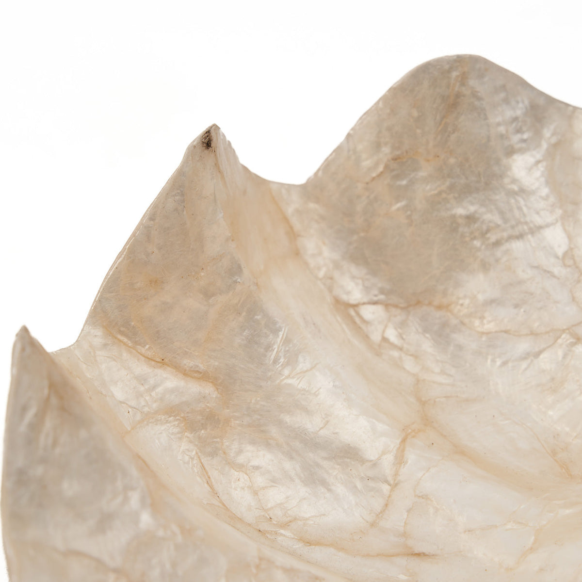 The Mother of Pearl tray - White - S