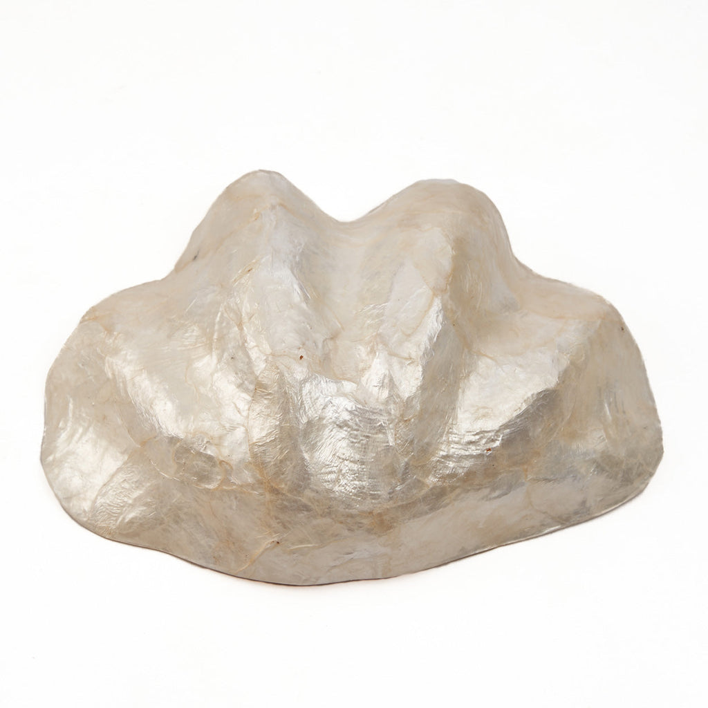 The Mother of Pearl tray - White - S