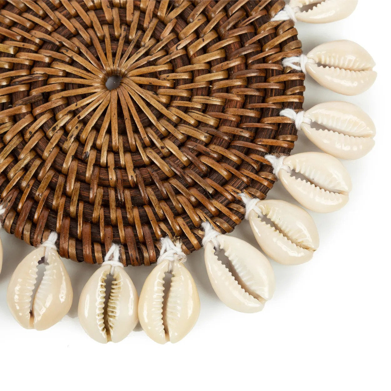 Colonial Coaster Shell - Natural Brown