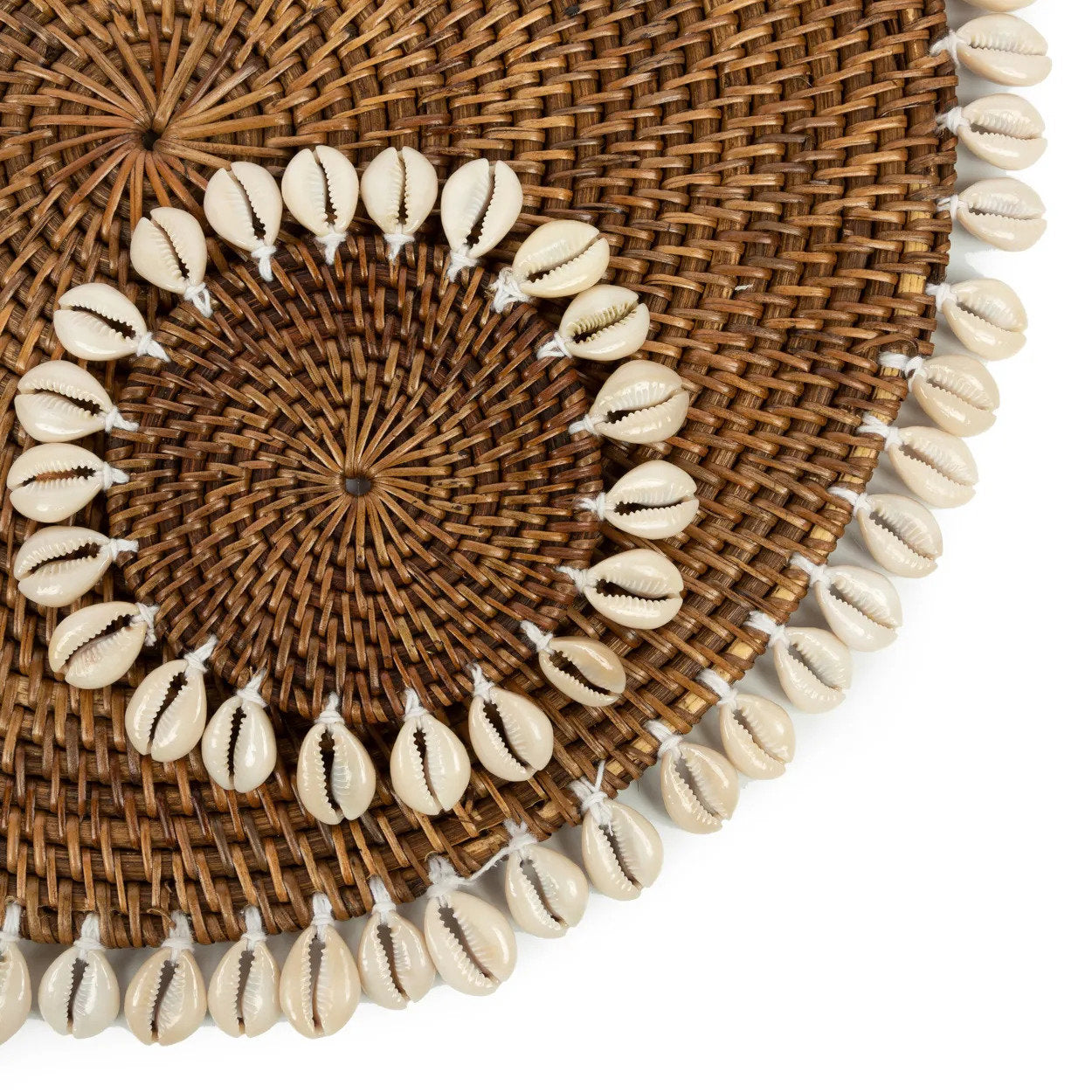 Colonial Coaster Shell - Natural Brown