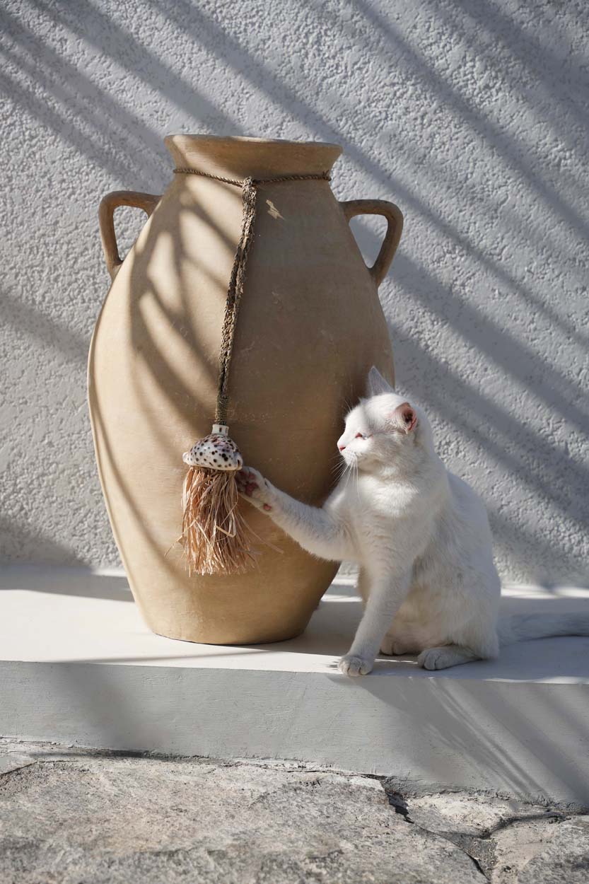 The Raffia Lupina Tassel - Natural