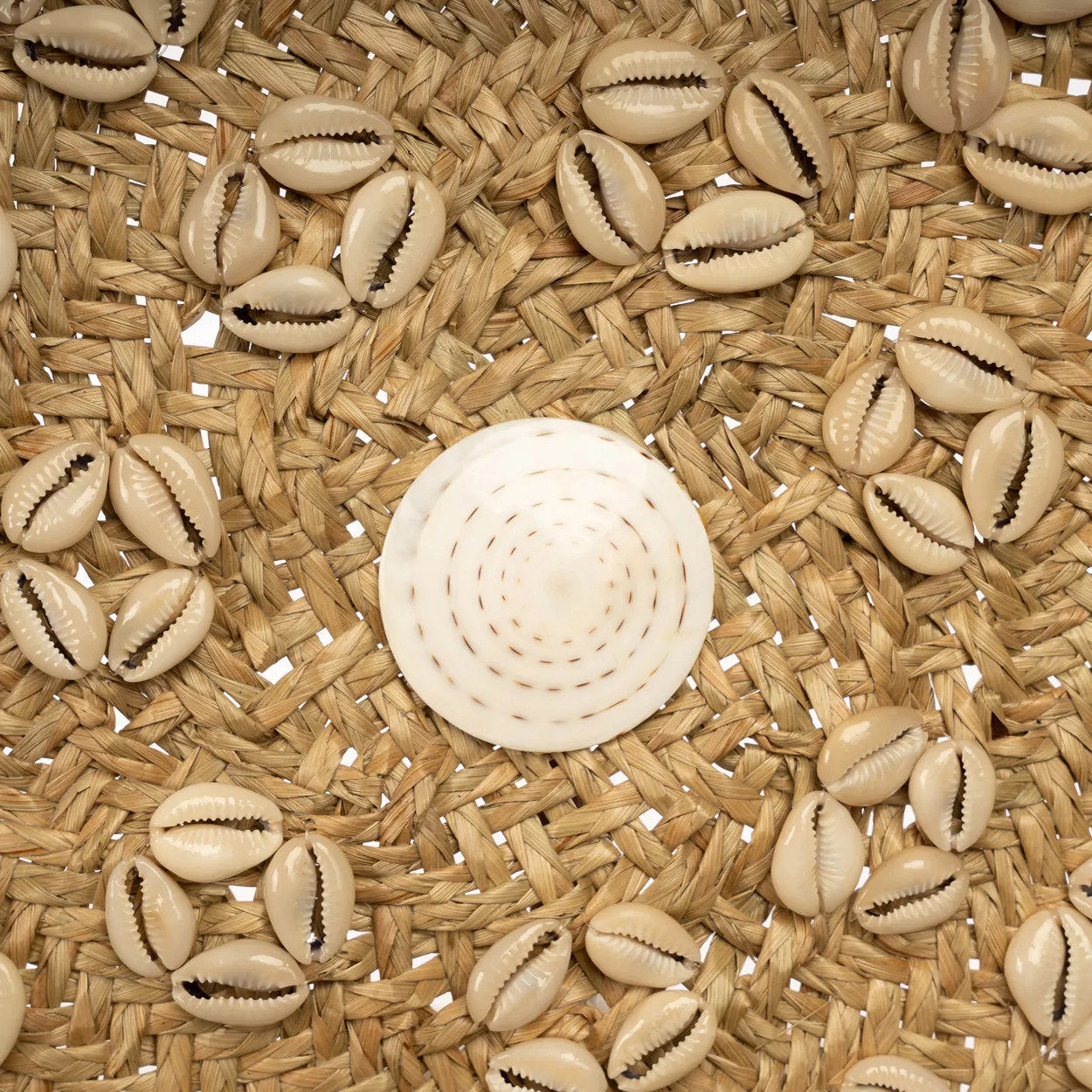 Caribe Shell Plate - Natural White - Ø 42 cm