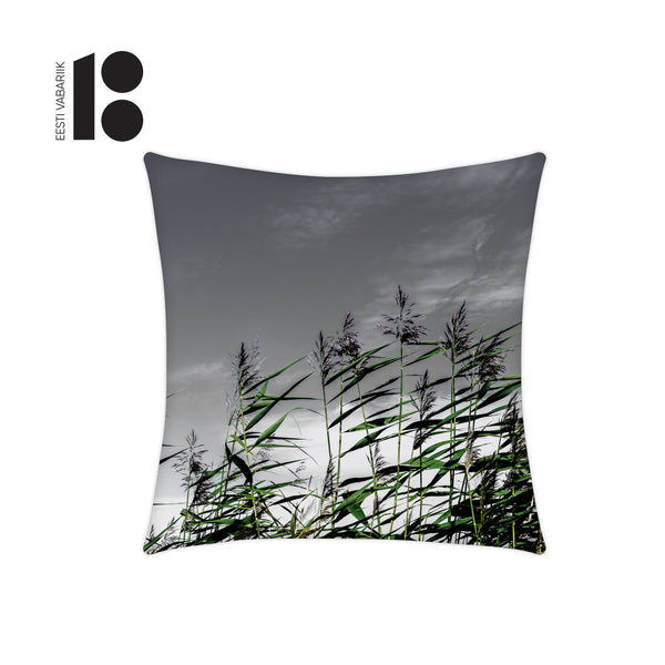Pillowcase, Coastland
