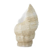 SHELL Deco, Nature, Polyresin