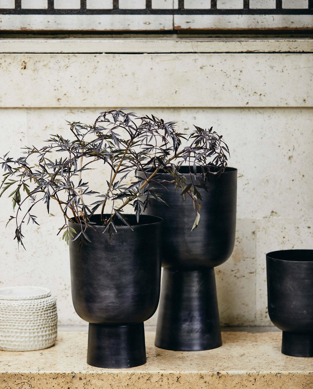 GALOA PLANTER, H 43 CM