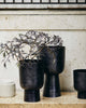 GALOA PLANTER, M