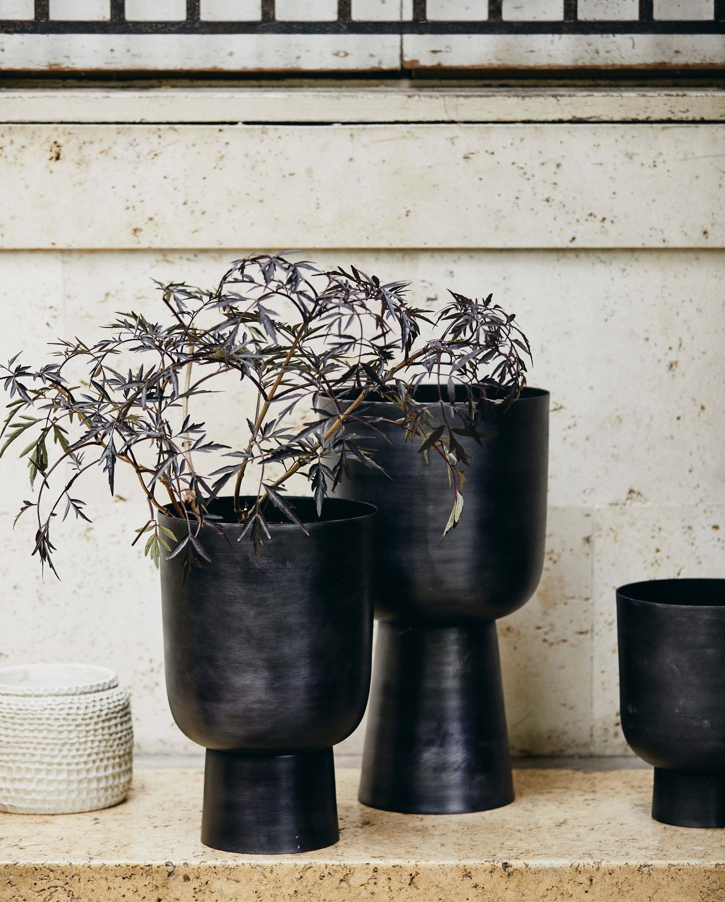 GALOA PLANTER, H 55 CM