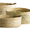 BASKET CITRUS | PALM LEAVES | SET OF 3