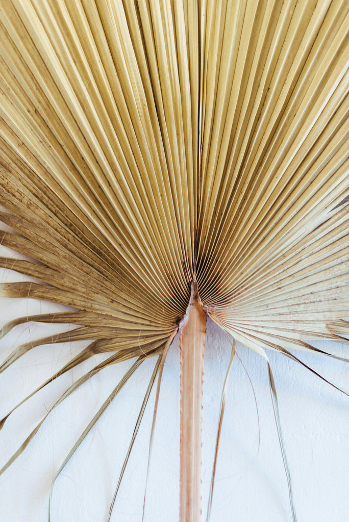 Interior photo, Sun Dried Palm Leaf