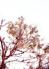 PANEL CURTAINS Textile
