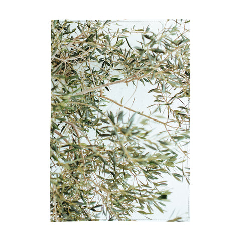 Table Cloth, Rosmarinium