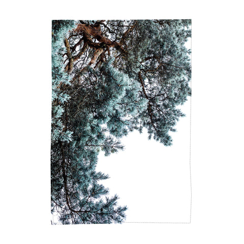 Table Cloth, Silvergreen