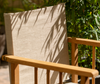 AFRICA Directors Chair