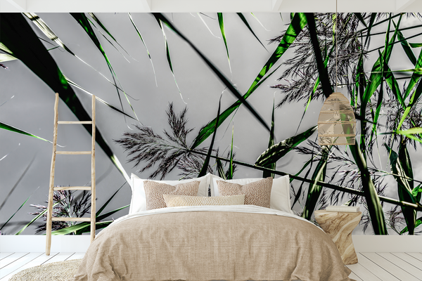 Wallpaper, Coastland