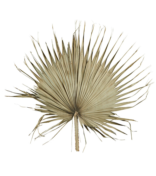 PALM LEAF WALL DECO, Ø 80 CM