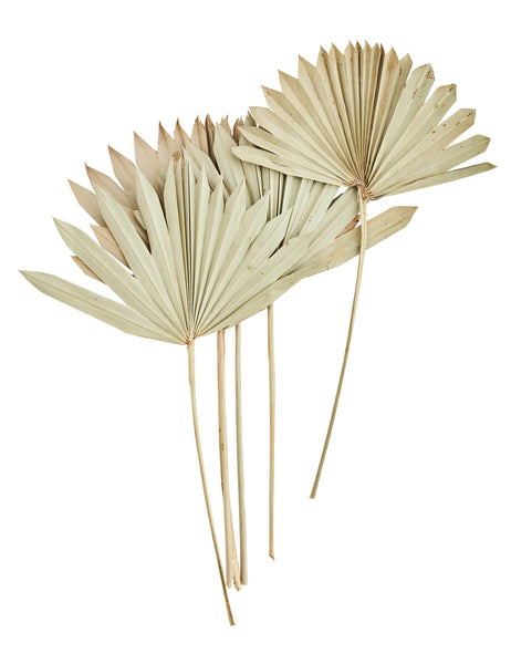 PALM LEAVES BUNCH, NATURAL, 6 PC