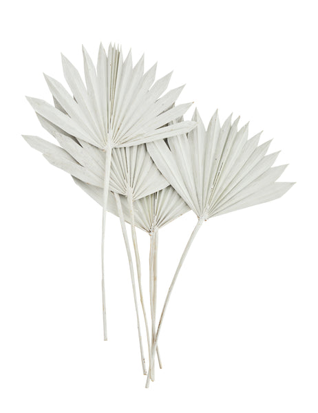 PALM LEAVES BUNCH, WHITE, 6 PC