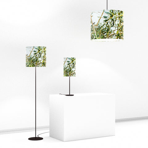 Lampshade, Rosmarinium