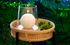 Candle, Snowball D120