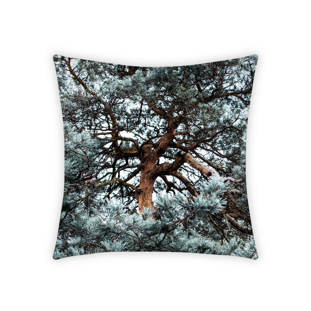 Pillowcase, Silvergreen B