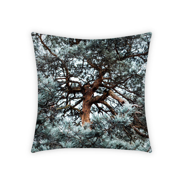Pillowcase, Silvergreen B