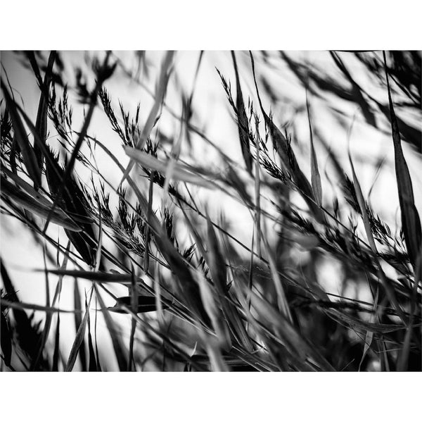 Placemat, Windy
