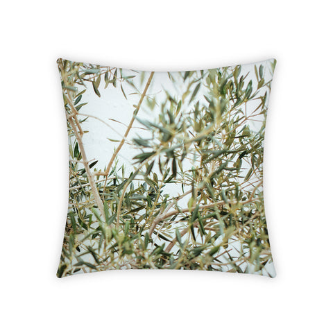 Pillowcase, Rosmarinium
