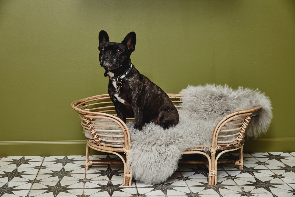 IRIRI dog bed, rattan/weaving, natural